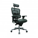 ErgoLogic Tech Chair - Mesh Back and Headrest - Leather Seat