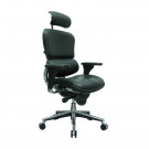 ErgoLogic Tech Chair - Leather Seat, Back and Headrest