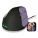 Evoluent SMALL Vertical Mouse 4