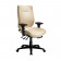 eCentric Executive High Back Ergonomic Chair
